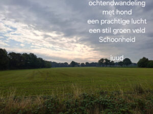 ochtendwandeling