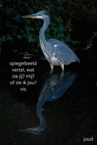 spiegelbeeld