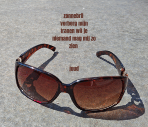 zonnebril