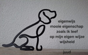 eigenwijs