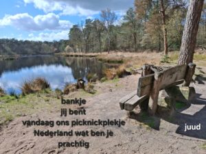 picknickplekje