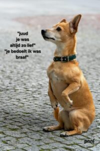 braaf