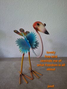 free bird