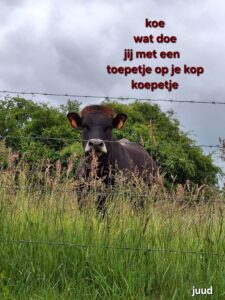 koepetje