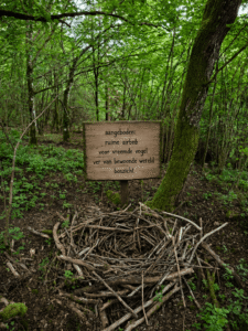 nest