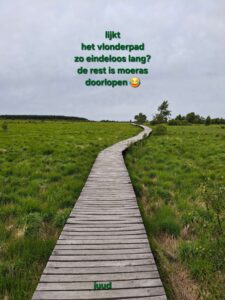 vlonderpad