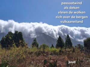 passaatwind